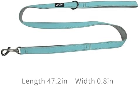 [白山:Hakusan] Zero Dog Leash Made by Japanese, Cushion, Fit to Hand, Gray x Mint Green