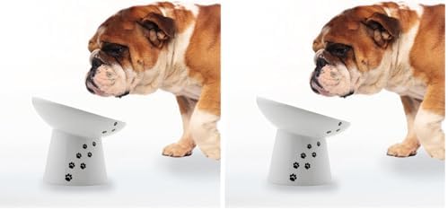 Necoichi Raised Dog Food Bowl, Elevated, for Dogs and Cats, Pets Feeding Feeder Non-Slip for Small Dogs Dishwasher and Microwave Safe, No.1 Seller in Japan! (Dog, Extra Wide Tilted) (Pack of 2)