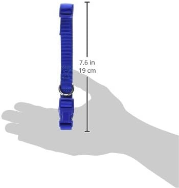 Zack & Zoey ⅝" Wide Nylon Dog Collar, Fits Necks 14" to 20", Nautical Blue