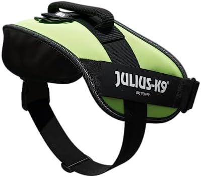 Julius-K9, 16IDC-NE-2, IDC Powerharness, Dog Harness, Size: 2, Neon Green