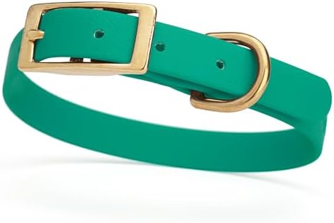 Viper Biothane Heavy Duty Waterproof Dog Collar Strong Coated Nylon Webbing w/Solid Brass Hardware Odor-Proof Easy to Clean High Performance Fits Small Medium or Large Dogs, Teal