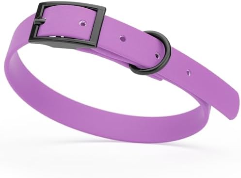Dogline Biothane Waterproof Dog Collar Strong Coated Nylon Webbing with Black Hardware Odor- Proof for Easy Care Easy to Clean High Performance Fits Small Medium or Large Dogs, Amethyst Purple