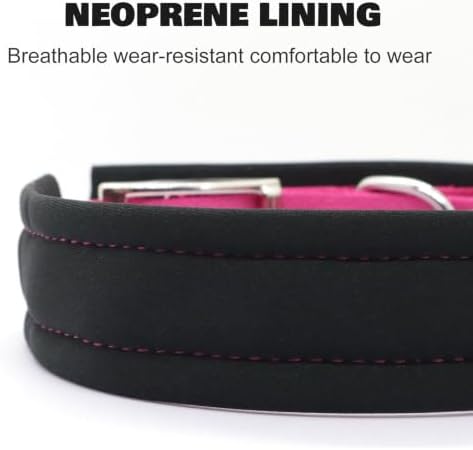 Personalized Nylon Dog Collar with Name Tag (Red, XL)