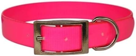 Dayglo Dog Collar with Engraved Brass ID tag USA (21" Fits 15-19" Neck, Pink)