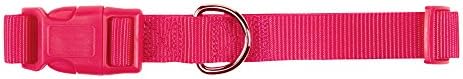 Zack & Zoey ⅜" Wide Nylon Dog Collar, Fits Necks 6" to 10", Raspberry Sorbet
