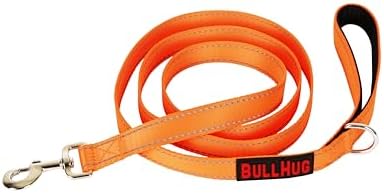 BULLHUG 6 FT Bulldog Leash with Padded Handle. Perfect for Bulldogs, French Bulldogs, Pugs & All Breeds. Leashes for Walking, Training Lead for Bulldogs (NEON Orange)