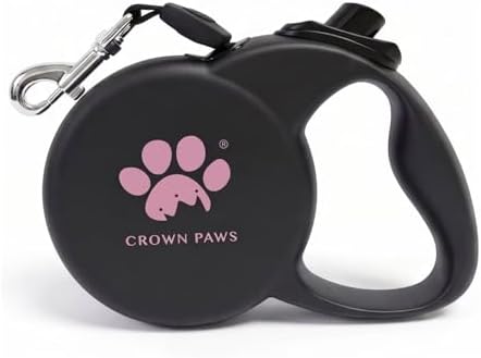 Retractable Dog Leash (Small), 10ft Heavy Duty Nylon Tape for Dogs up to 33 lbs, One-Hand Brake & Lock, Tangle-Free, Compact Lightweight Design, Black S GC-DAN