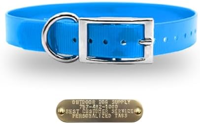 Heavy Duty Waterproof D-Ring Dog Collar w Custom Name Tag, Light Blue 18"