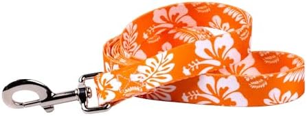 Country Brook Petz - Orange Hawaiian Everyday Dog Leash - Summer Breeze Collection Featuring Sunny Designs (4 Foot, 1/2 Inch Wide)