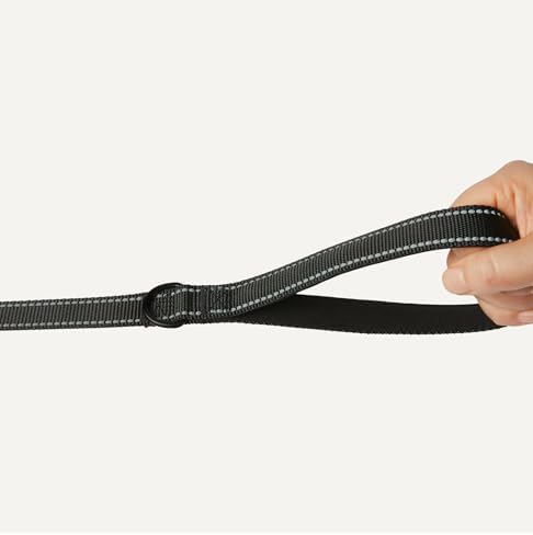 Amazon Basics Dog Leash, 4ft with 2 Comfortable Dual Padded Handles for Traffic Control, Highly Reflective Leashes for Large & Medium Dogs, Night Safety, Easy Snap Hook, Black