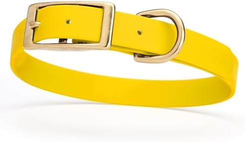 Viper Biothane Heavy Duty Waterproof Dog Collar Strong Coated Nylon Webbing w/Solid Brass Hardware Odor-Proof for Easy Care to Clean High Performance Fits Small Medium or Large Dogs, Lemon Yellow