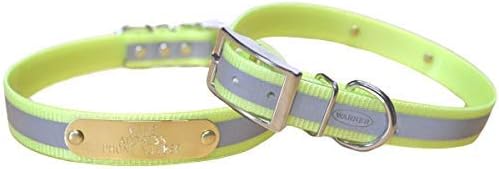 Reflective Dayglo Dog Collar Free Engraved Brass ID tag USA (Neon Yellow-27)
