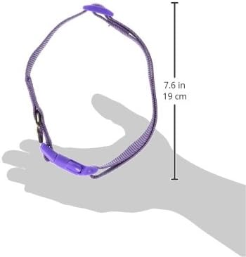 Zack & Zoey 1" Wide Nylon Dog Collar, Fits Necks 18" to 26", Ultra Violet