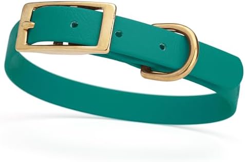 Viper Biothane Heavy Duty Waterproof Dog Collar Strong Coated Nylon Webbing w/Solid Brass Hardware Odor-Proof Easy to Clean High Performance Fits Small Medium or Large Dogs, Blue Aqua