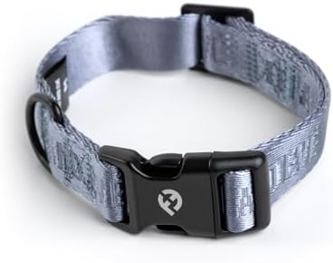 Fei & Eve Classic Dog Collar, Heavy Duty Adjustable Nylon Dog Collars with Quick-Release Buckle, Stylish & Comfortable for Daily Use, Sky Blue, M