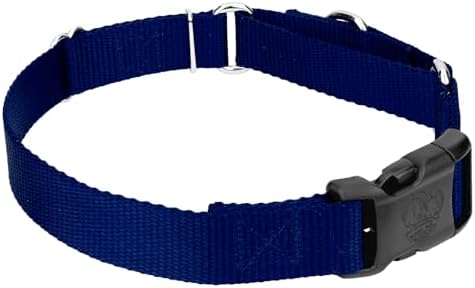 Martingale Dog Collar - Heavy Duty Nylon Adjustable Martingale Dog Collar with Plastic Buckle for Small Medium Large Breeds - 30+ Colors (3/4 Inch, Small, Royal Blue)
