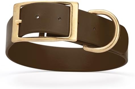 Viper Biothane Heavy Duty Waterproof Dog Collar Strong Coated Nylon Webbing w/Solid Brass Hardware Odor-Proof Easy to Clean High Performance Fits Small Medium or Large Dogs, Dark Chocolate Brown