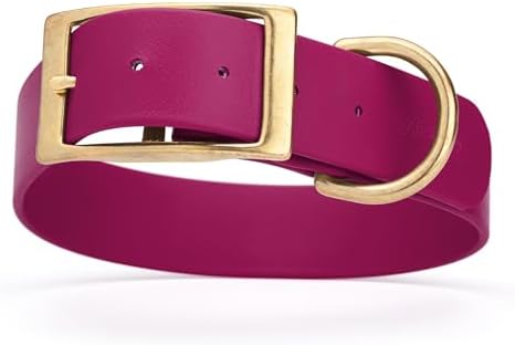 Viper Biothane Heavy Duty Waterproof Dog Collar Strong Coated Nylon Webbing w/Solid Brass Hardware Odor-Proof Easy to Clean High Performance Fits Small Medium or Large Dogs, Magenta Pink