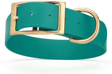 Viper Biothane Heavy Duty Waterproof Dog Collar Strong Coated Nylon Webbing w/Solid Brass Hardware Odor-Proof Easy to Clean High Performance Fits Small Medium or Large Dogs, Blue Aqua