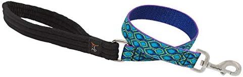LupinePet Originals 1" Rain Song 2-Foot Traffic Lead/Leash for Medium and Larger Dogs