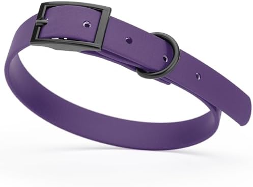 Dogline Biothane Waterproof Dog Collar Strong Coated Nylon Webbing with Black Hardware Odor- Proof for Easy Care Easy to Clean High Performance Fits Small Medium or Large Dogs, Violet Purple