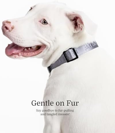 Fei & Eve Classic Dog Collar, Soft & Fur-Friendly