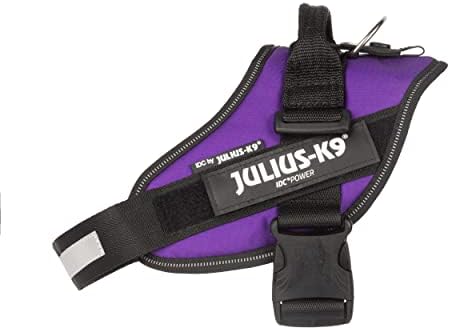 Julius-K9 IDC Powerharness, Size: M/0, Dark Purple