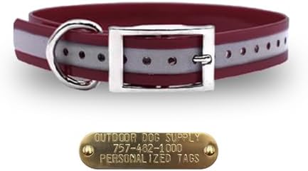 Reflective Waterproof D-Ring Dog Collar w Custom Name Tag, Burgundy