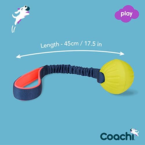 Coachi Tuggi Ball - Interactive Dog Toy for Tug of War & Play