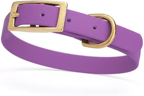 Viper Biothane Heavy Duty Waterproof Dog Collar Strong Coated Nylon Webbing w/Solid Brass Hardware Odor-Proof for Easy Care to Clean High Performance Fits Small Medium or Large Dogs, Amethyst Purple