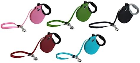 Alcott Adventure Retractable Leash, Extra Small, Green