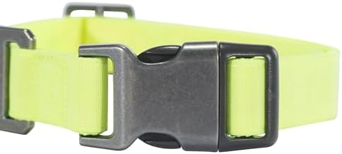 Carhartt Nylon Duck Dog Collar, Fully Adjustable Durable 2-Ply Cordura Nylon Canvas Collars for Dogs, Brite Lime, Medium
