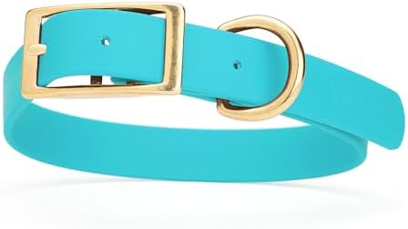 Viper Biothane Heavy Duty Waterproof Dog Collar Strong Coated Nylon Webbing w/Solid Brass Hardware Odor-Proof Easy to Clean High Performance Fits Small Medium or Large Dogs, Sky Blue