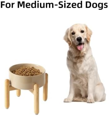 Havniva Ceramic Dog Bowls Elevated, Raised Dog Food Bowl for Small Dogs