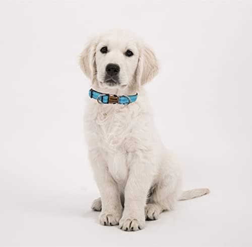 THAIN Reflective Personalized Dog Collar Engraved Custom Buckle- Soft Nylon Pet Collar with Name Plate Engraved Name, Phone Number, Silent,No Noise Adjustable (M, Light Blue)
