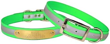 Reflective Dayglo Dog Collar Free Engraved Brass ID tag USA (Neon Green 19")
