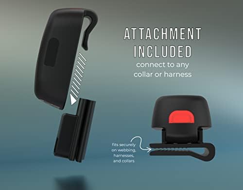 TUG Oval 360° Tangle-Free Retractable Dog Leash | Flashlight Included | Integrated Waste Bag Dispenser Pocket (Medium, Black)