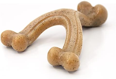 Nylabone Strong Chew Gourmet Style Wishbone Dog Chew Toy, Chicken Flavor