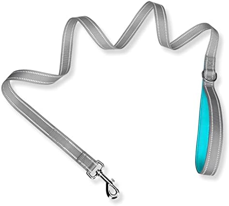 PHOEPET 5 Feet Dog Leash - Dual-Side Reflective - Soft Padded Handle
