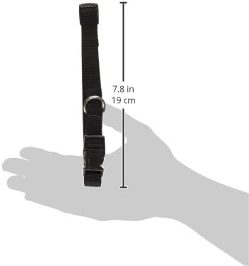 Zack & Zoey ⅝" Wide Nylon Dog Collar, Fits Necks 14" to 20", Jet Black