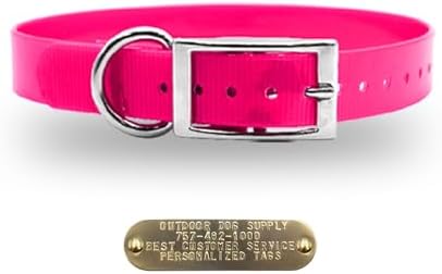 Heavy Duty Waterproof D-Ring Dog Collar w Personalized Name Tag, Pink 18"