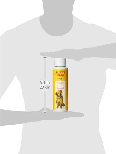 Burts Bees for Pets Hypoallergenic Dog Shampoo, Shea Butter Honey, 16 Fl Oz | Suitable for dogs with allergies, fragrance-free formula, 95% natural origin, sensitive skin and coat