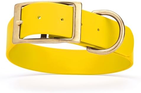 Viper Biothane Heavy Duty Waterproof Dog Collar Strong Coated Nylon Webbing w/Solid Brass Hardware Odor-Proof Easy to Clean High Performance Fits Small Medium or Large Dogs, Lemon Yellow