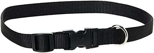 LupinePet Basics 3/4" Black 13-22" Adjustable Collar for Medium and Larger Dogs