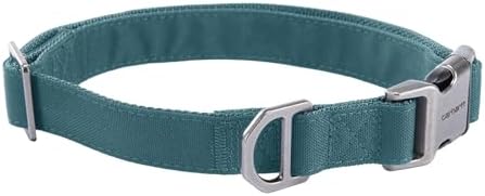 Carhartt Field Nylon Dog Collar Harbor Teal Large