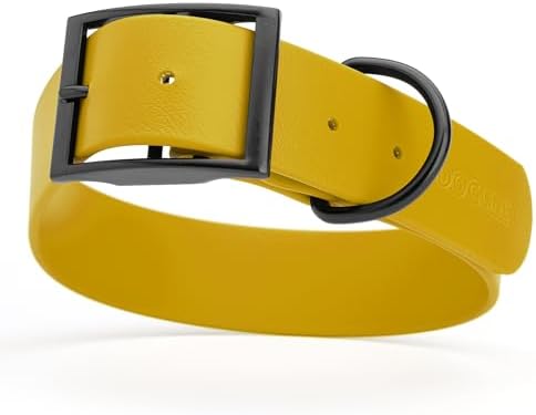 Dogline Biothane Waterproof Dog Collar Strong Coated Nylon Webbing with Black Hardware Odor- Proof for Easy Care Easy to Clean High Performance Fits Small Medium or Large Dogs, Treasure Gold