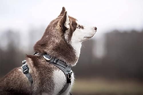 Adjustable No-Pull Dog Harness Reflective Pup Vest Harnesses Comfortable Control Brilliant Colors Truelove TLH5651(Gray,XS)