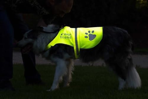 Safety Reflective Vest for Dogs - High Visibility for Outdoor Activity Day and Night, Protect Your Pet from Cars & Hunting Accidents
