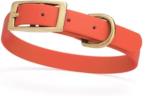 Viper Biothane Heavy Duty Waterproof Dog Collar Strong Coated Nylon Webbing w/Solid Brass Hardware Odor-Proof Easy to Clean High Performance Fits Small Medium or Large Dogs, Coral