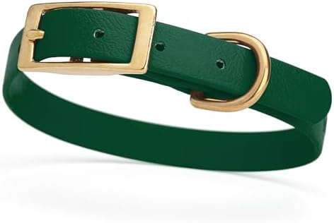 Viper Biothane Heavy Duty Waterproof Dog Collar Strong Coated Nylon Webbing w/Solid Brass Hardware Odor-Proof Easy to Clean High Performance Fits Small Medium or Large Dogs, Hunter Green
